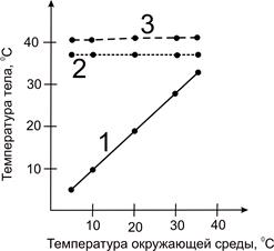 На рисунке показаны тела которые имеют различную начальную температуру тела