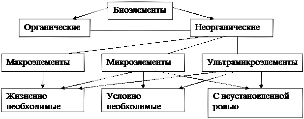 Постройте граф классификации биологической системы по следующему описанию word