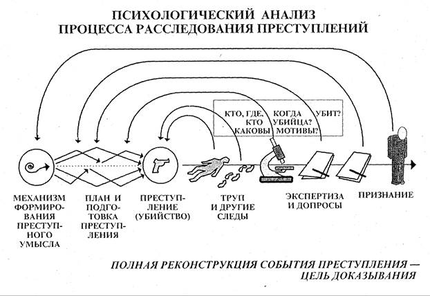 Презентация расследование преступлений по горячим следам