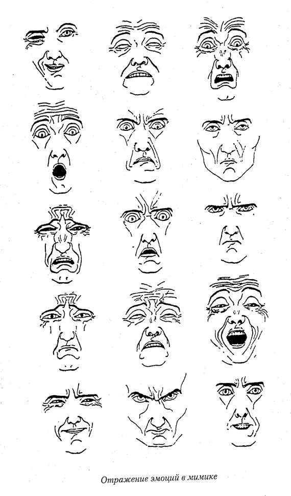 Мимика человека. Эмоции мимика. Выражения лица эмоции. Мимика лица эмоции. Мимика человеческого лица.