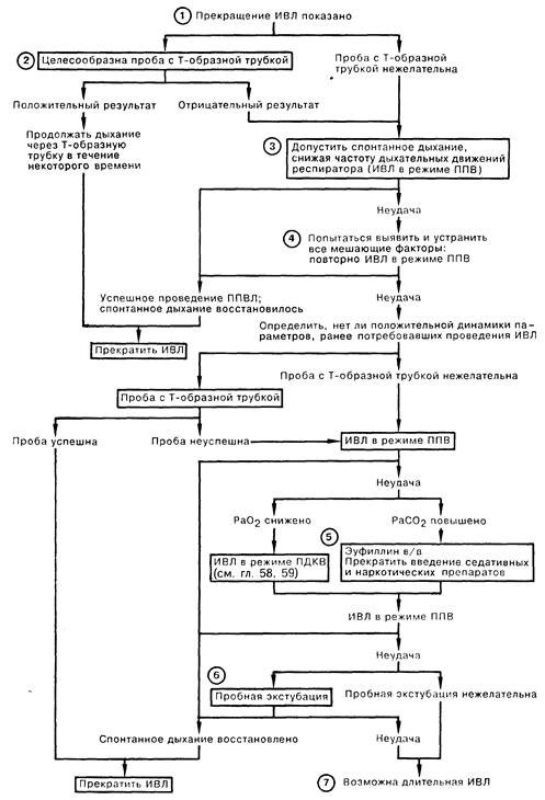 Прекращение искусственной вентиляции легких. Принятие решений в интенсивной терапии Дон.