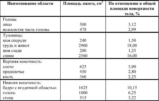 Какая площадь ожога показана на картинке