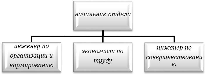 Каким образом в организации распределяются обязанности между руководством в том числе