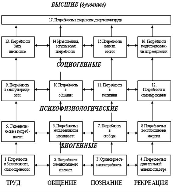 Сложный план на тему роль потребностей в деятельности человека