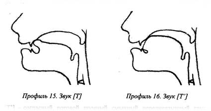 Артикуляционные профили звуков в картинках