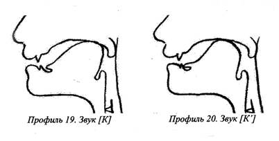 Артикуляционные профили звуков картинки
