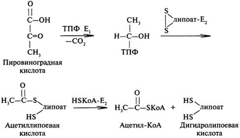 Схема окислительного декарбоксилирования пирувата