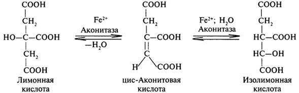 Какая кислота получается при декарбоксилировании изопропилмалоновой кислоты напишите схему реакции