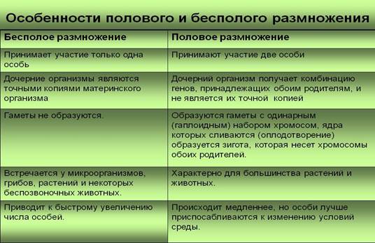 На рисунке изображен процесс иллюстрирующий присущее всем живым организмам свойство