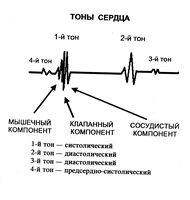 Тоны сердца схема