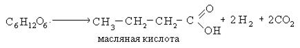 Масла кислота. Масляная кислота формула. Получение масляной кислоты. Синтез масляной кислоты. Масляная кислота структурная формула.