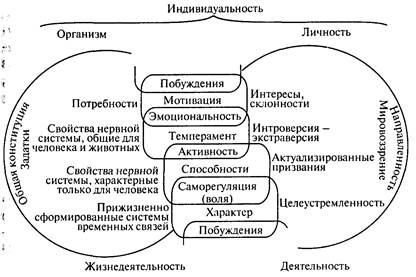 Что объединяет и в чем отличие биологических объектов изображенных на рисунке