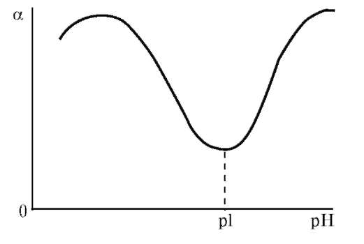 Набухание биополимеров. Зависимость степени набухания от PH. График зависимости степени набухания от PH. Зависимость степени набухания белков от РН. Изоэлектрическая точка график.