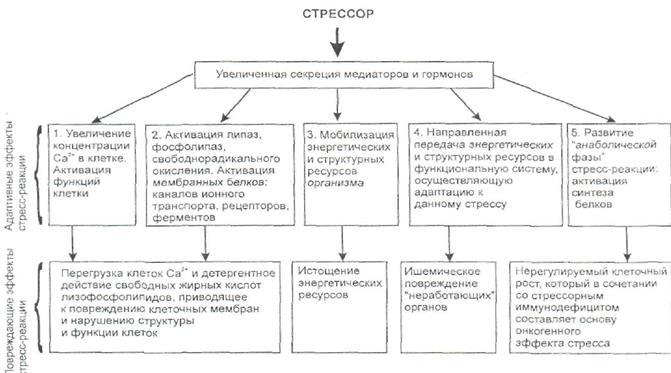 Схема дефективности как избавиться