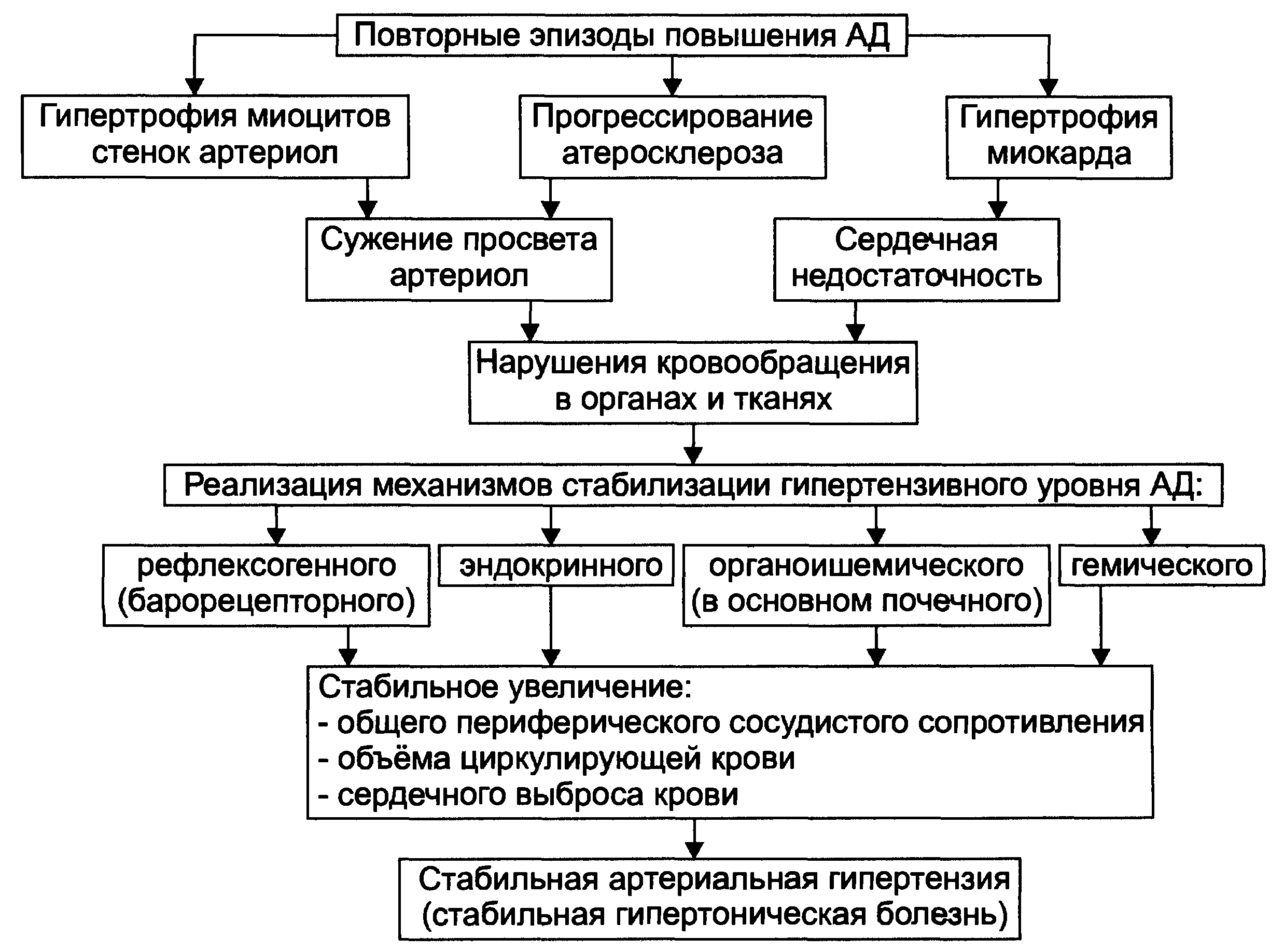 Патогенез псевдотуберкулеза схема