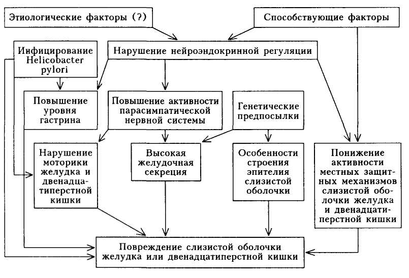 Язвенная болезнь патогенез схема