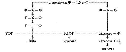 Цикл кальвина подробно уравнение по стадиям