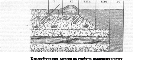 Глубина повреждения тканей при ожогах. Классификация ожогов по этиологическому признаку. Глубина поражения мягких тканей при эризипелоиде. Ткань лежит схема. Поражение глубинного