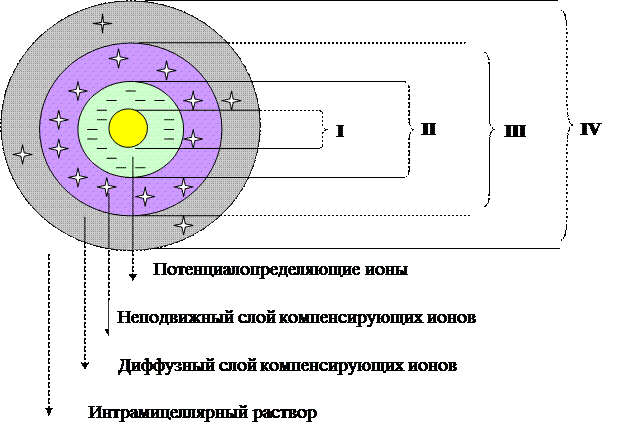 Схема строения коллоидной частицы