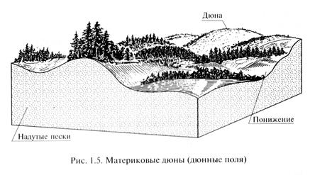 Карта почвообразующих пород