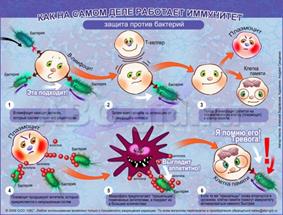 Естественный иммунитет клеточные факторы