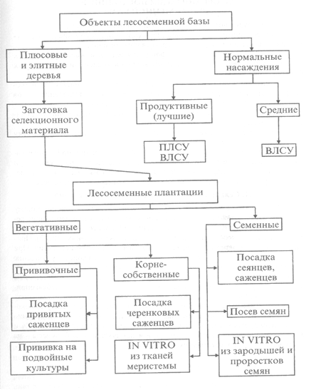 Схема селекционного процесса