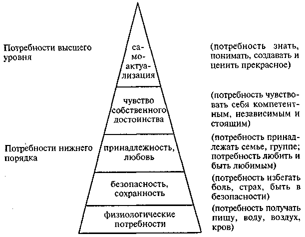 Уровни потребностей. Потребностный треугольник Маслоу. Высшие потребности высших уровней. Мотивационно - потребностный треугольник. Основные потребности личности пирамида а Маслоу и их характеристика.