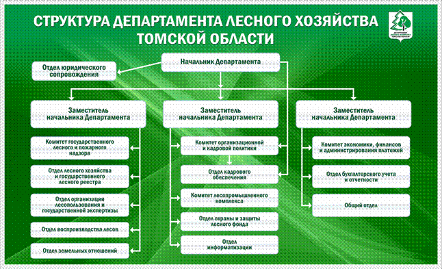 Лесное хозяйство и управление лесами. Структура лесного хозяйства. Структура управления лесным хозяйством. Структура Министерства лесного хозяйства.