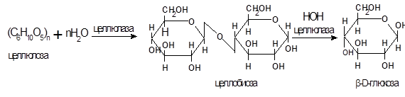 Разложение целлюлозы. Кислотный гидролиз целлюлозы. Реакция гидролиза целлюлозы. Гидролиз целлюлозы уравнение. Схема гидролиза целлюлозы.