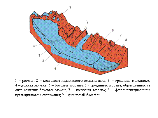 Морен метод. Образование горного ледника схема. Части горного ледника схема. Строение горного ледника. Строение ледника схема.