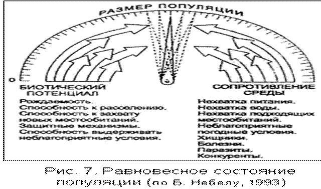 Какой метод для определения численности популяции показан на рисунке