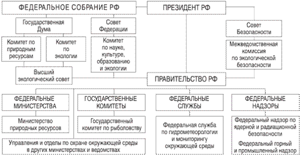 Охрана государственной власти. Структура органов гос власти РФ схема. Структура органов управления охраны окружающей среды в РФ. Схема органов управления в сфере охраны окружающей среды. Структура федерального собрания РФ схема.
