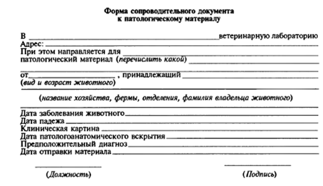 Протокол вскрытия теленка при диспепсии образец