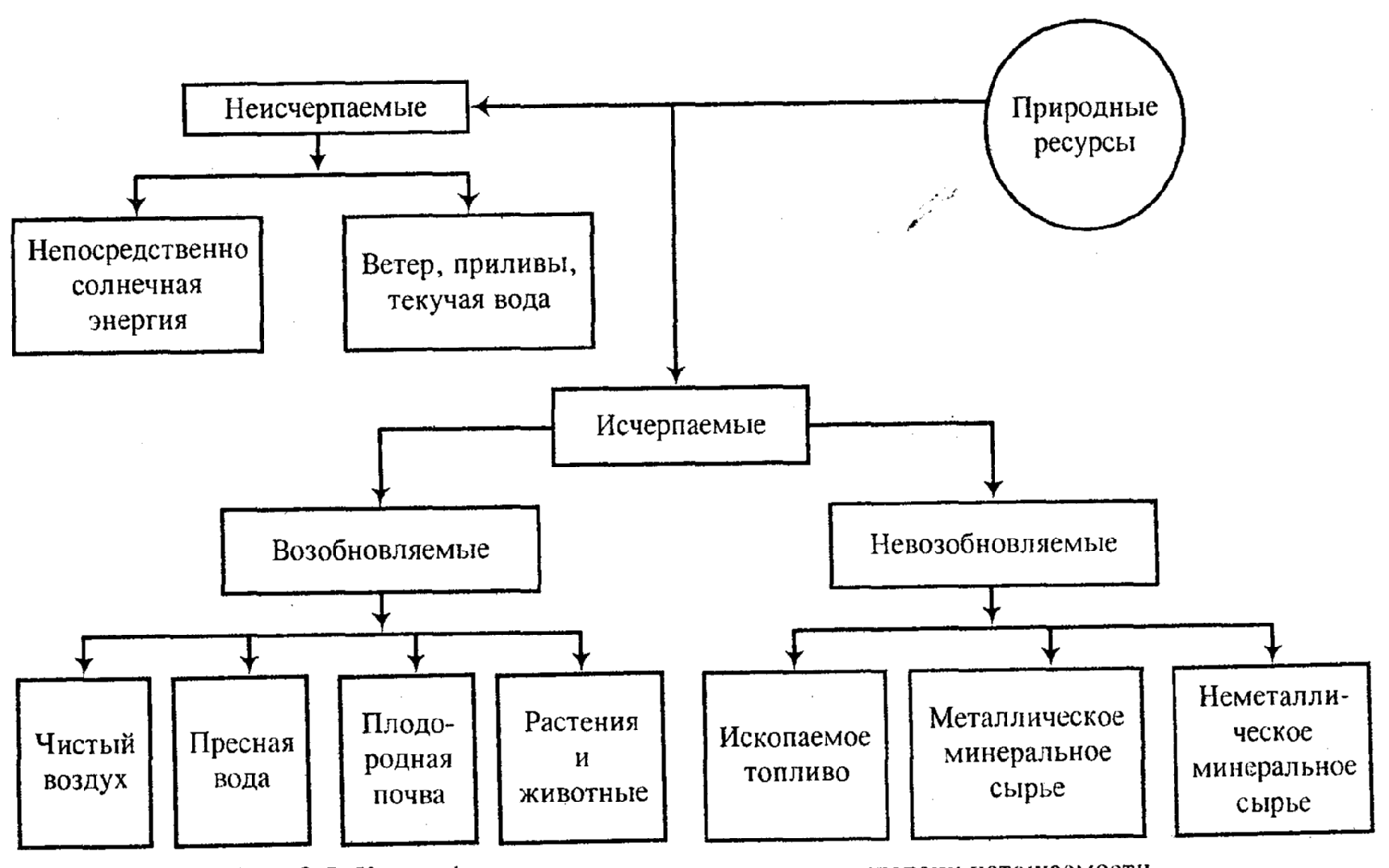 Используя текст учебника впишите в схему основные виды ресурсов растительного мира