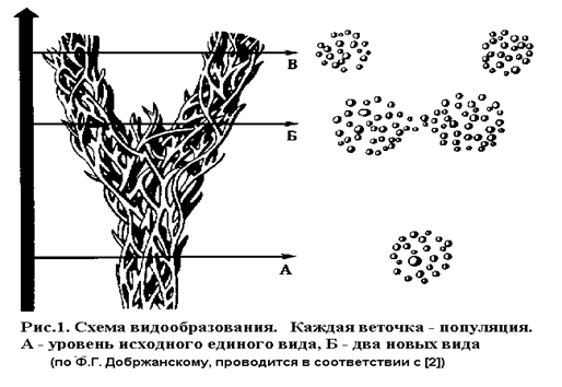 Синтетическая теория эволюции картинки