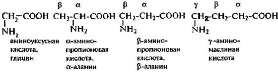 Гомологами аланина являются. Аминоуксусная кислота формула гомологи. Гомологи аминоуксусной кислоты. Аминоуксусная кислота гомологи. Формула аминоуксусной кислоты.