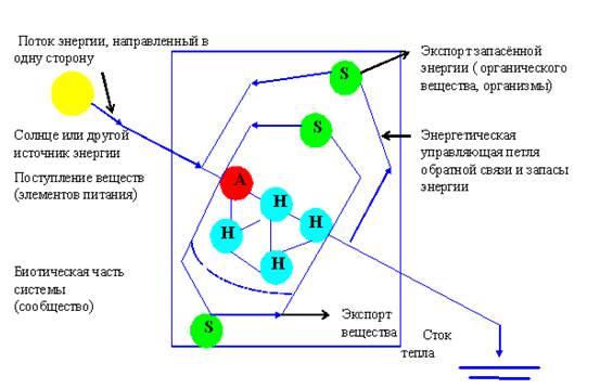 Составление схем переноса веществ и энергии в экосистемах пищевых цепей и сетей