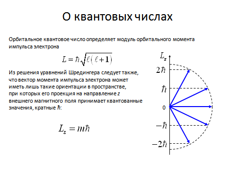 Момент импульса электрона