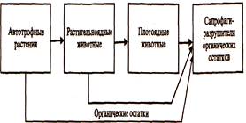 Неявная схема адамса 3 порядка