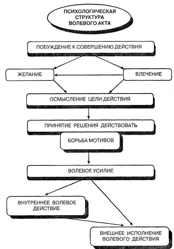 Заполните схему сложного волевого действия 5 этапов