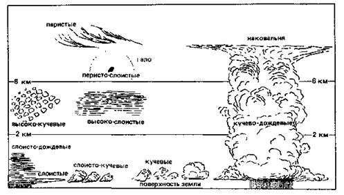 Подпишите виды облаков показанных на рисунках