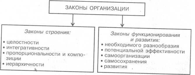 Законы строения. Законы экономического функционирования организации. Законы функционирования организаций в схеме. Законы функционирования организации таблица. 6. Законы функционирования организации.