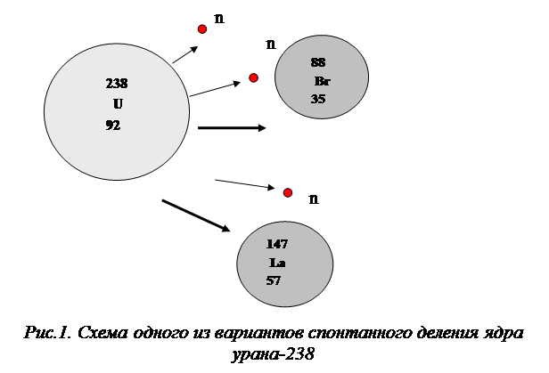 Распад ядра плутония. Схема деления ядер урана. Деление ядра урана 238. Цепная реакция деления ядер урана 235. Деление ядра урана 235.