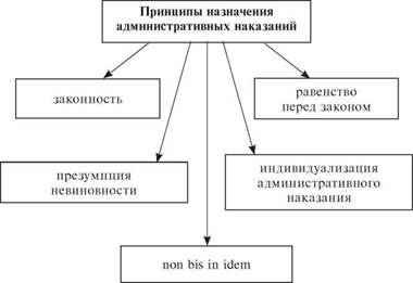 Принципы наказания. Принципы назначения административных наказаний. Порядок назначения административного наказания схема. Принципы наложения административных наказаний. Общие правила назначения административного наказания схема.