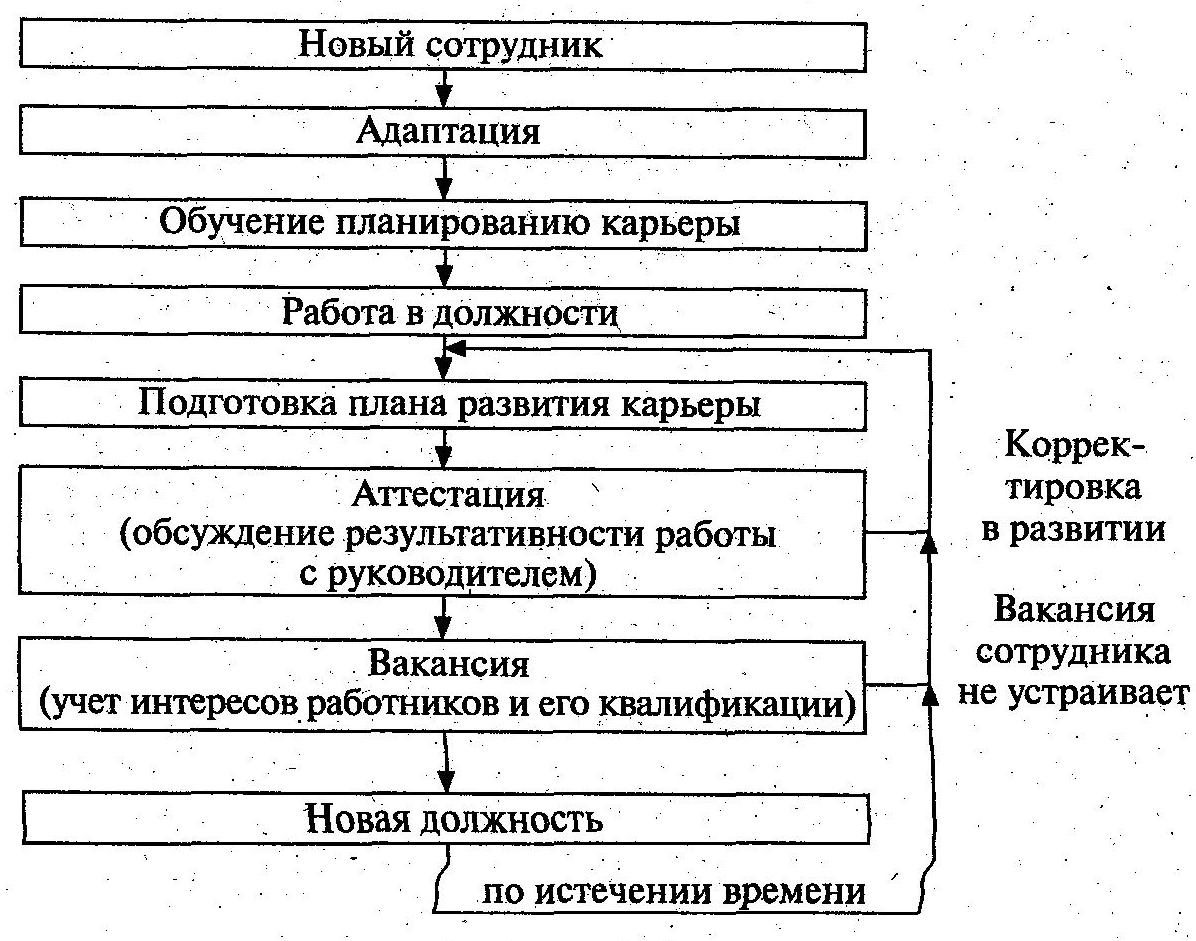 Стадии карьеры работника