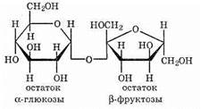 С помощью каких реакций можно отличить сахарозу от мальтозы приведите необходимые уравнения реакций