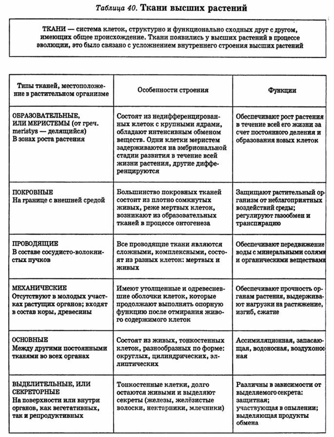 Раздел: Анатомия и морфология растений Практическое занятие № 2 Строение и функц