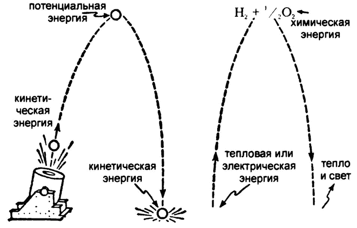 Потенциальная и кинетическая энергия рисунок. Кинетическая энергия и потенциальная энергия. Кинетическая и потенциальная энергия схема. Превращение кинетической энергии в потенциальную. Отличие потенциально энергии от кинетической.