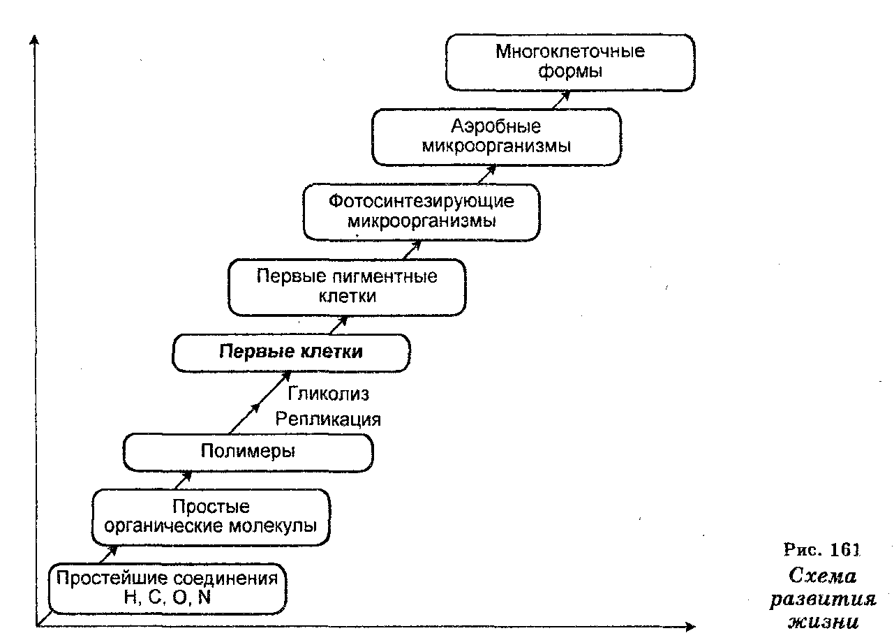 Происхождение жизни на земле схема