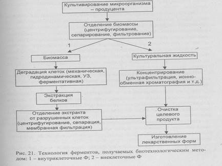 Схема производства ферментов